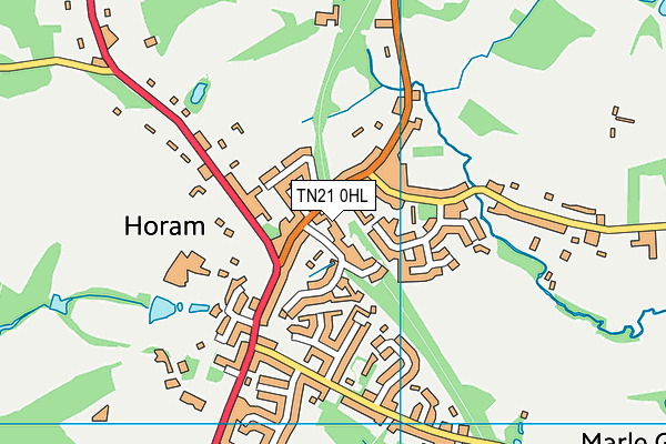 TN21 0HL map - OS VectorMap District (Ordnance Survey) TN21 0HL map - OS VectorMap District (Ordnance Survey)