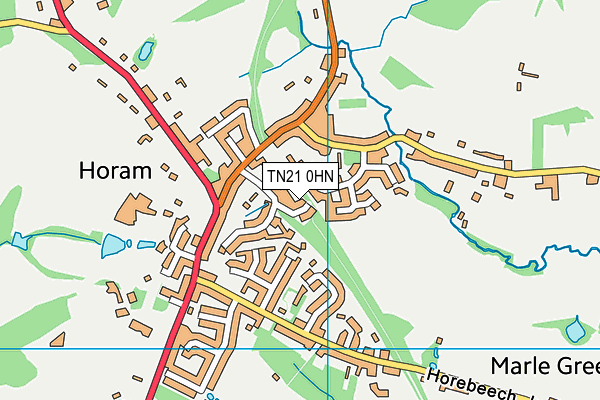 TN21 0HN map - OS VectorMap District (Ordnance Survey) TN21 0HN map - OS VectorMap District (Ordnance Survey)