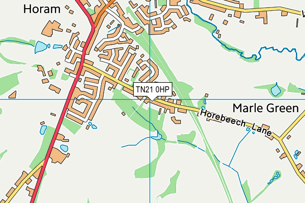 TN21 0HP map - OS VectorMap District (Ordnance Survey) TN21 0HP map - OS VectorMap District (Ordnance Survey)