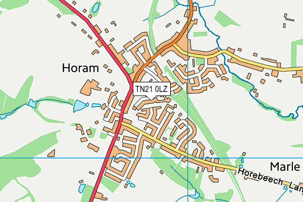 TN21 0LZ map - OS VectorMap District (Ordnance Survey) TN21 0LZ map - OS VectorMap District (Ordnance Survey)