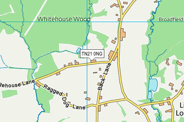 TN21 0NG map - OS VectorMap District (Ordnance Survey) TN21 0NG map - OS VectorMap District (Ordnance Survey)