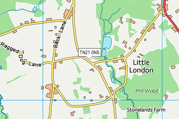 TN21 0NS map - OS VectorMap District (Ordnance Survey) TN21 0NS map - OS VectorMap District (Ordnance Survey)