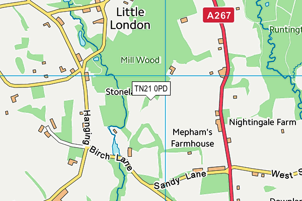 TN21 0PD map - OS VectorMap District (Ordnance Survey) TN21 0PD map - OS VectorMap District (Ordnance Survey)
