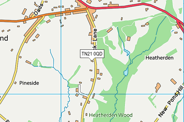 TN21 0QD map - OS VectorMap District (Ordnance Survey) TN21 0QD map - OS VectorMap District (Ordnance Survey)