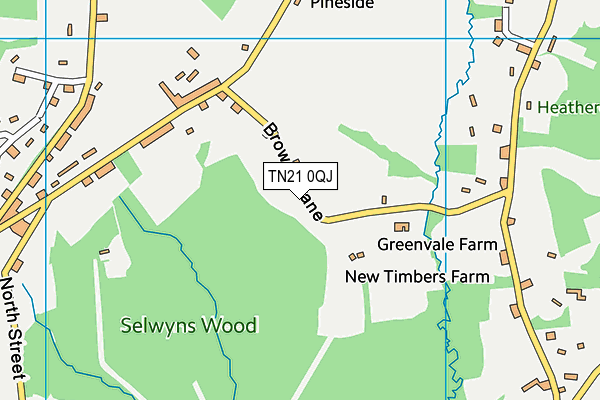 TN21 0QJ map - OS VectorMap District (Ordnance Survey) TN21 0QJ map - OS VectorMap District (Ordnance Survey)