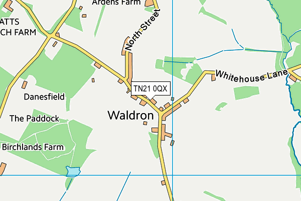 TN21 0QX map - OS VectorMap District (Ordnance Survey) TN21 0QX map - OS VectorMap District (Ordnance Survey)