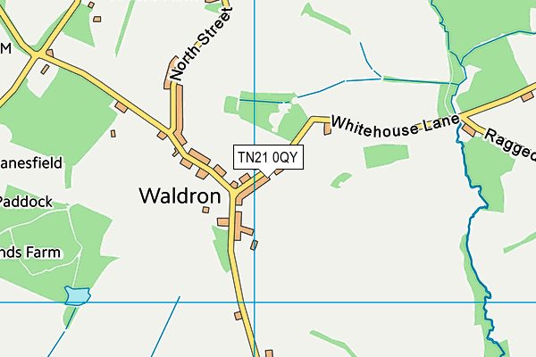 TN21 0QY map - OS VectorMap District (Ordnance Survey) TN21 0QY map - OS VectorMap District (Ordnance Survey)