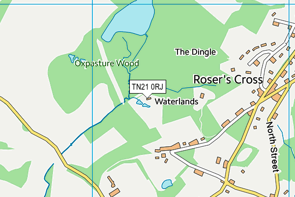 TN21 0RJ map - OS VectorMap District (Ordnance Survey) TN21 0RJ map - OS VectorMap District (Ordnance Survey)