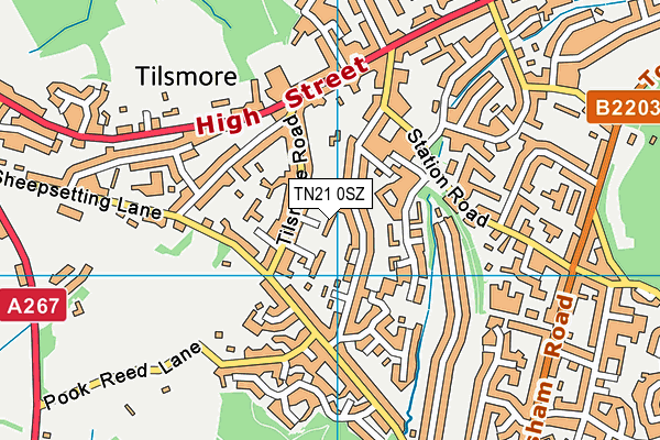 TN21 0SZ map - OS VectorMap District (Ordnance Survey) TN21 0SZ map - OS VectorMap District (Ordnance Survey)