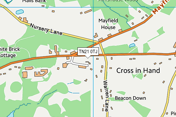 TN21 0TJ map - OS VectorMap District (Ordnance Survey) TN21 0TJ map - OS VectorMap District (Ordnance Survey)