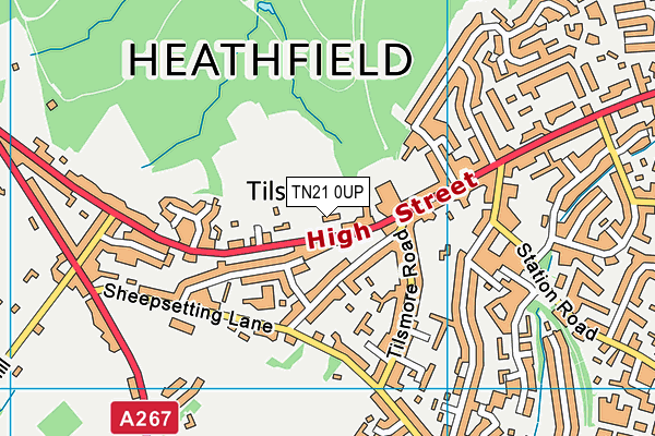 TN21 0UP map - OS VectorMap District (Ordnance Survey) TN21 0UP map - OS VectorMap District (Ordnance Survey)