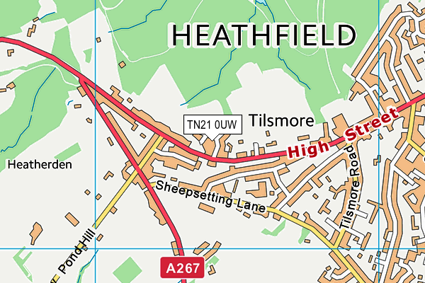 TN21 0UW map - OS VectorMap District (Ordnance Survey)