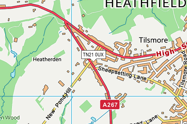 TN21 0UX map - OS VectorMap District (Ordnance Survey) TN21 0UX map - OS VectorMap District (Ordnance Survey)
