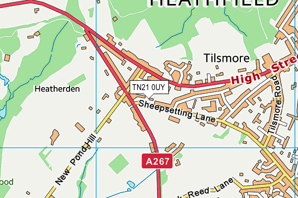 TN21 0UY map - OS VectorMap District (Ordnance Survey)
