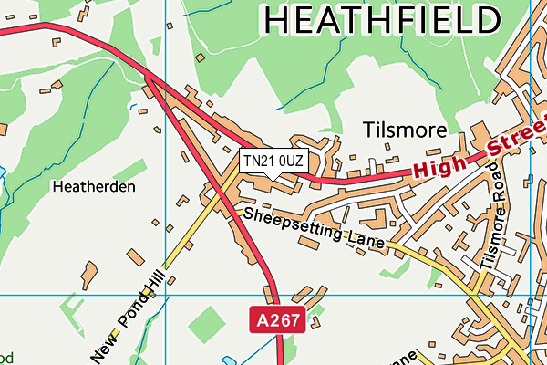 TN21 0UZ map - OS VectorMap District (Ordnance Survey) TN21 0UZ map - OS VectorMap District (Ordnance Survey)