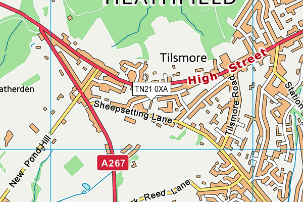 TN21 0XA map - OS VectorMap District (Ordnance Survey)