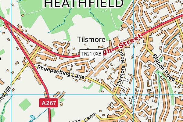 TN21 0XB map - OS VectorMap District (Ordnance Survey) TN21 0XB map - OS VectorMap District (Ordnance Survey)