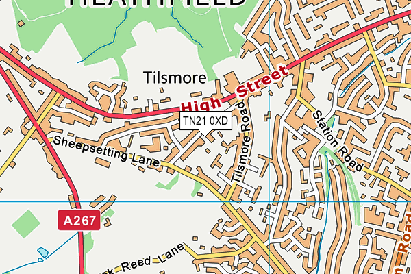 TN21 0XD map - OS VectorMap District (Ordnance Survey) TN21 0XD map - OS VectorMap District (Ordnance Survey)