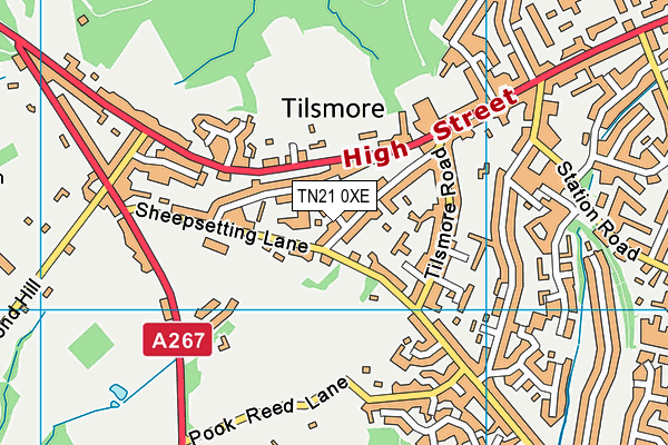 TN21 0XE map - OS VectorMap District (Ordnance Survey) TN21 0XE map - OS VectorMap District (Ordnance Survey)