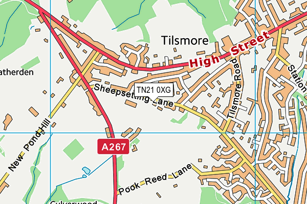 TN21 0XG map - OS VectorMap District (Ordnance Survey)