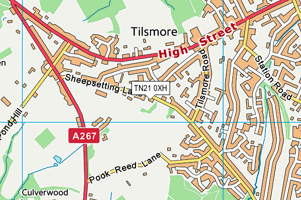 TN21 0XH map - OS VectorMap District (Ordnance Survey) TN21 0XH map - OS VectorMap District (Ordnance Survey)