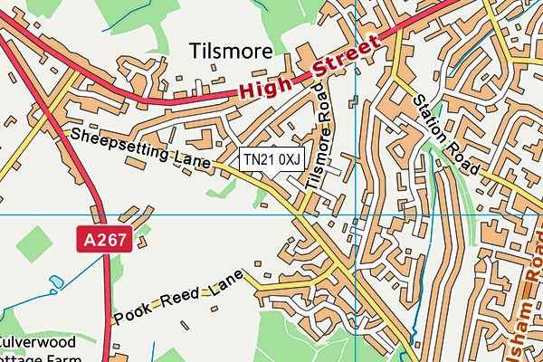 TN21 0XJ map - OS VectorMap District (Ordnance Survey) TN21 0XJ map - OS VectorMap District (Ordnance Survey)