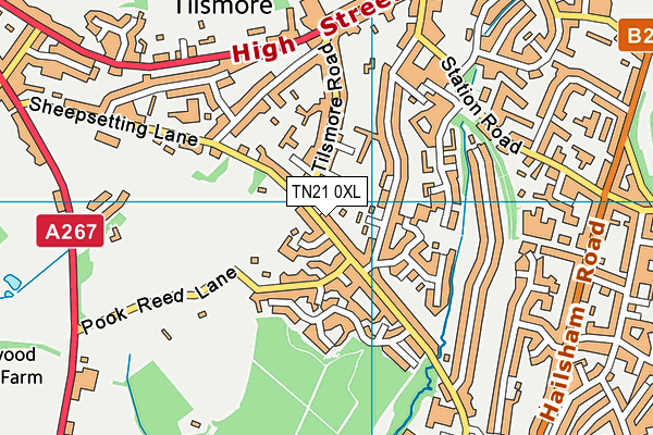 TN21 0XL map - OS VectorMap District (Ordnance Survey) TN21 0XL map - OS VectorMap District (Ordnance Survey)