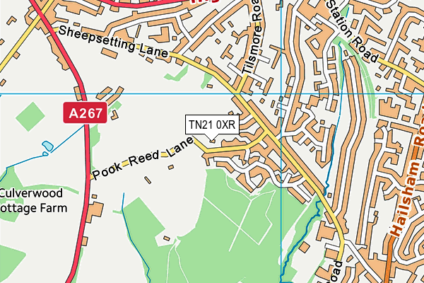 TN21 0XR map - OS VectorMap District (Ordnance Survey) TN21 0XR map - OS VectorMap District (Ordnance Survey)