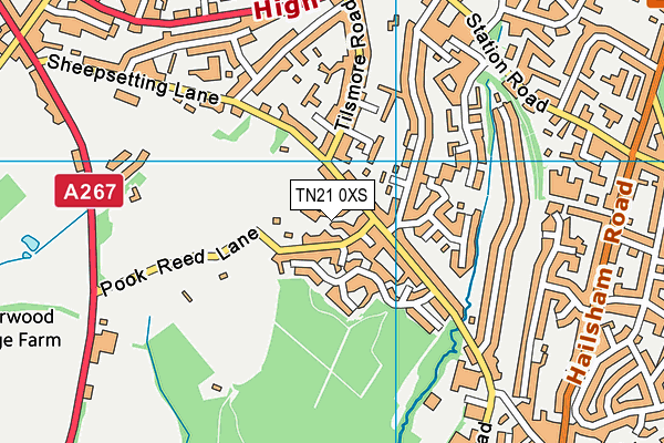 TN21 0XS map - OS VectorMap District (Ordnance Survey) TN21 0XS map - OS VectorMap District (Ordnance Survey)
