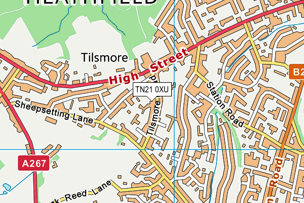 TN21 0XU map - OS VectorMap District (Ordnance Survey) TN21 0XU map - OS VectorMap District (Ordnance Survey)