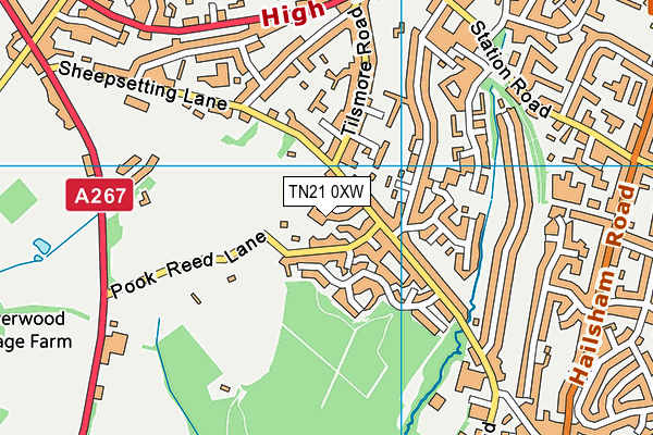 TN21 0XW map - OS VectorMap District (Ordnance Survey) TN21 0XW map - OS VectorMap District (Ordnance Survey)