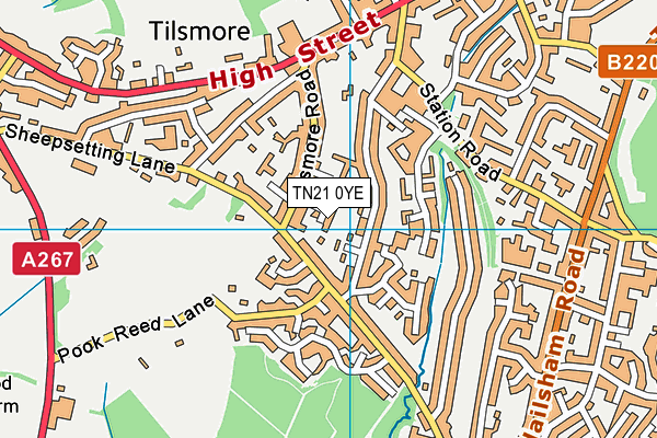 TN21 0YE map - OS VectorMap District (Ordnance Survey) TN21 0YE map - OS VectorMap District (Ordnance Survey)