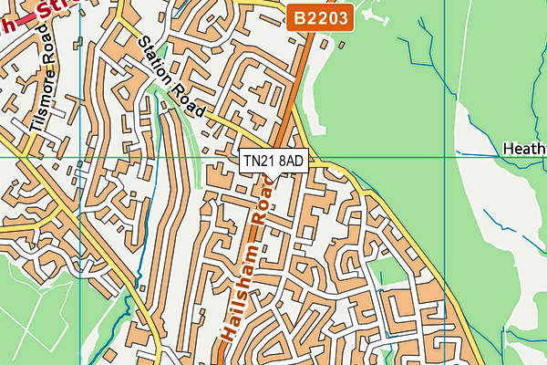 TN21 8AD map - OS VectorMap District (Ordnance Survey) TN21 8AD map - OS VectorMap District (Ordnance Survey)