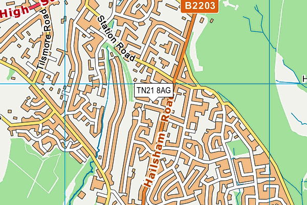 TN21 8AG map - OS VectorMap District (Ordnance Survey) TN21 8AG map - OS VectorMap District (Ordnance Survey)