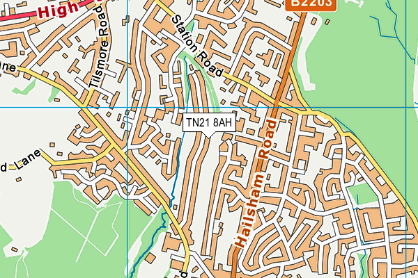 TN21 8AH map - OS VectorMap District (Ordnance Survey) TN21 8AH map - OS VectorMap District (Ordnance Survey)