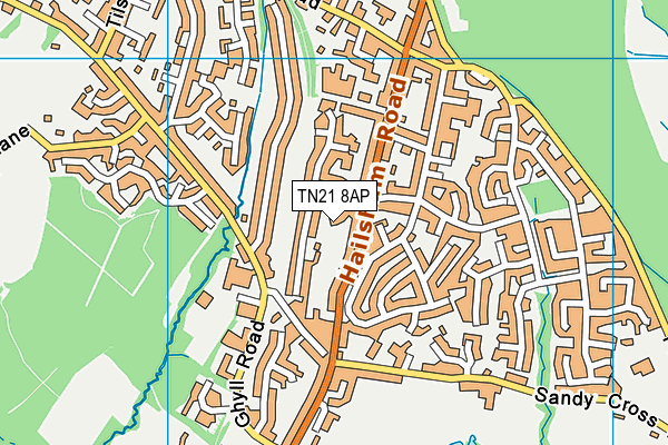 TN21 8AP map - OS VectorMap District (Ordnance Survey) TN21 8AP map - OS VectorMap District (Ordnance Survey)