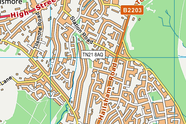 TN21 8AQ map - OS VectorMap District (Ordnance Survey) TN21 8AQ map - OS VectorMap District (Ordnance Survey)