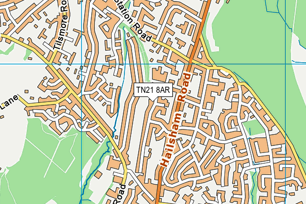 TN21 8AR map - OS VectorMap District (Ordnance Survey) TN21 8AR map - OS VectorMap District (Ordnance Survey)
