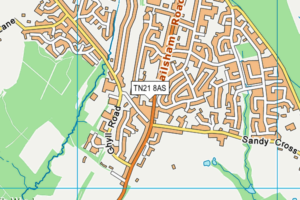TN21 8AS map - OS VectorMap District (Ordnance Survey) TN21 8AS map - OS VectorMap District (Ordnance Survey)