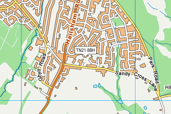 TN21 8BH map - OS VectorMap District (Ordnance Survey) TN21 8BH map - OS VectorMap District (Ordnance Survey)