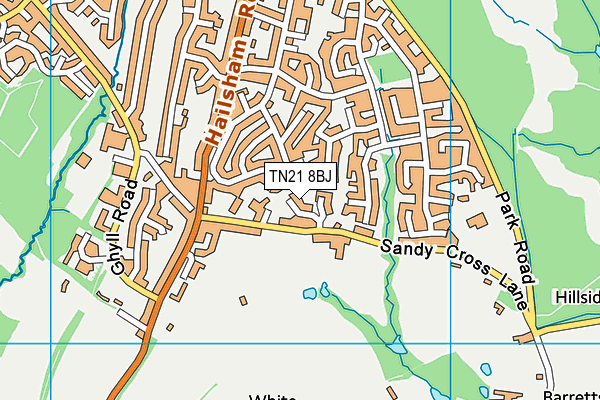 TN21 8BJ map - OS VectorMap District (Ordnance Survey) TN21 8BJ map - OS VectorMap District (Ordnance Survey)