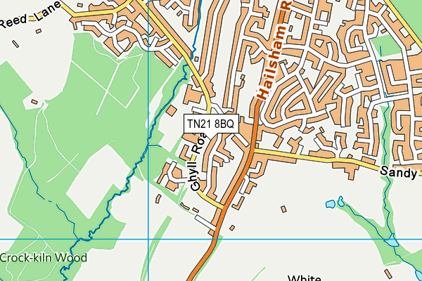 TN21 8BQ map - OS VectorMap District (Ordnance Survey) TN21 8BQ map - OS VectorMap District (Ordnance Survey)