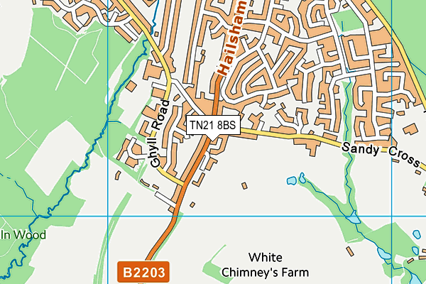 TN21 8BS map - OS VectorMap District (Ordnance Survey) TN21 8BS map - OS VectorMap District (Ordnance Survey)