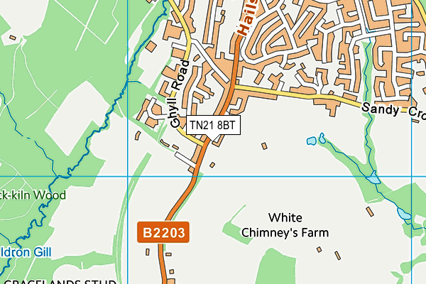 TN21 8BT map - OS VectorMap District (Ordnance Survey) TN21 8BT map - OS VectorMap District (Ordnance Survey)