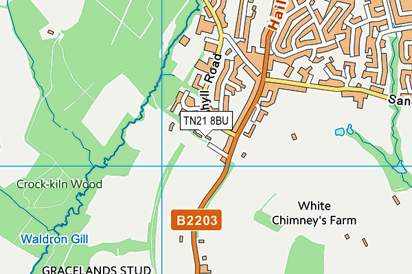 TN21 8BU map - OS VectorMap District (Ordnance Survey) TN21 8BU map - OS VectorMap District (Ordnance Survey)