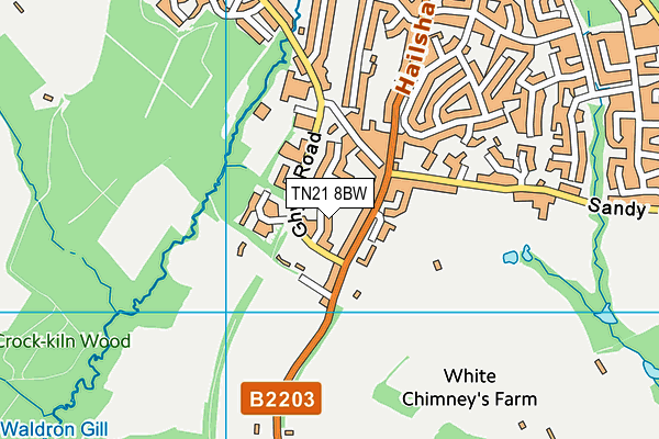TN21 8BW map - OS VectorMap District (Ordnance Survey) TN21 8BW map - OS VectorMap District (Ordnance Survey)