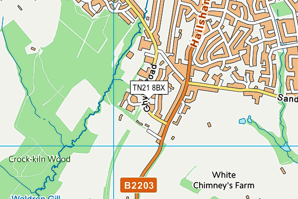 TN21 8BX map - OS VectorMap District (Ordnance Survey) TN21 8BX map - OS VectorMap District (Ordnance Survey)