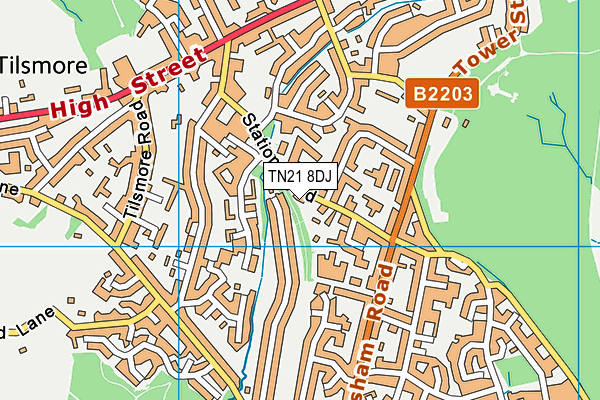 TN21 8DJ map - OS VectorMap District (Ordnance Survey) TN21 8DJ map - OS VectorMap District (Ordnance Survey)