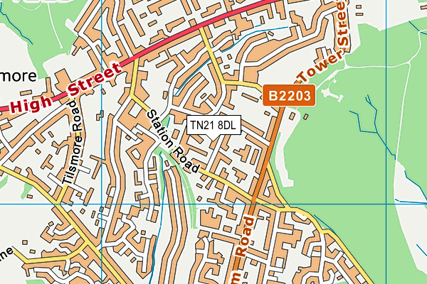 TN21 8DL map - OS VectorMap District (Ordnance Survey) TN21 8DL map - OS VectorMap District (Ordnance Survey)