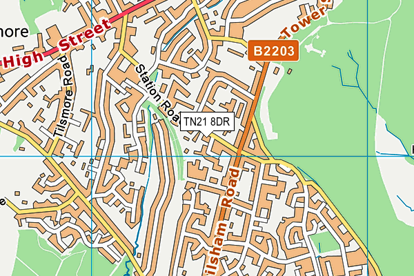 TN21 8DR map - OS VectorMap District (Ordnance Survey) TN21 8DR map - OS VectorMap District (Ordnance Survey)